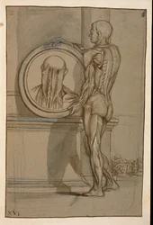 Ms Hunter 653 Tafel XVI, Anatomische Zeichnung, ca. 1610