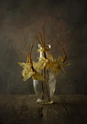 Stimmungsvolles florales Stillleben