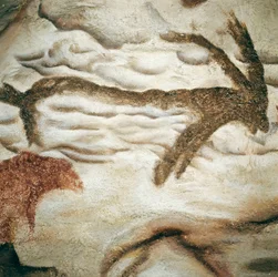 Hirschfelsenmalerei, Höhle von Lascaux, Dordogne, Frankreich, Oberes Paläolithikum (Magdalénien) ca. 13000 Jahre alt