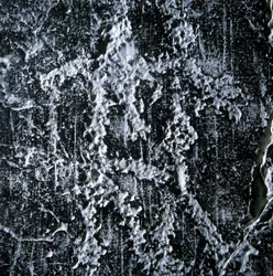 Paarungsszene. Prähistorische Graffiti im Camonica-Tal, Foppe di Nardo