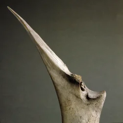 Vorgeschichte, Polada-Kultur: Knochenspitze aus dem Polada-Torfmoor, Lonato. Bronzezeit. Rom, Museo Nazionale Preistorico Etnografico Luigi Pigorini