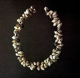 Vorgeschichte, Steinzeit: Halskette aus Muscheln aus der Höhle von Polesine, Venetien. Mittlere Jungsteinzeit. Rom, Museo Nazionale Preistorico Etnografico Luigi Pigorini