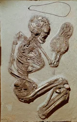 Vorgeschichte: weibliches Skelett aus dem Oberen Neolithikum. Kultur von Chiozza. 2900-2700 v. Chr. Reggio Emilia, Musei Civici, Museo Chierici, Italien