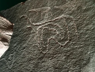Vorgeschichte, Felskunst: ein gravierter Felsen mit der Darstellung eines Rindes. Tazina-Stil. Steinzeit 5000-2000 v. Chr. Taghit, Hochplateau des Hoggar (Ahaggar), Algerien