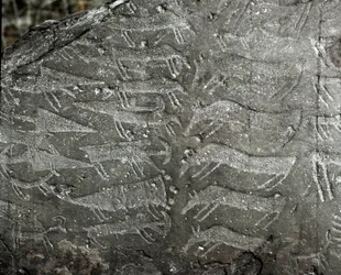 Vorgeschichte, Felskunst: Grabfelsen mit Darstellungen von Dolchen, Ochsen. Kupferzeit. Eneolithische Periode (Chalkolithikum). Roche Nr. 1. Cemmo (Brescia) Parco archeologico nazionale dei Massi di Cemmo, Italien