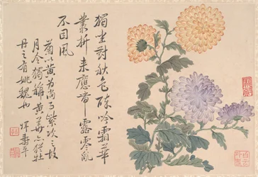 Chrysanthemen (Albumblatt)