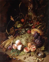 Stillleben mit Früchten und Insekten