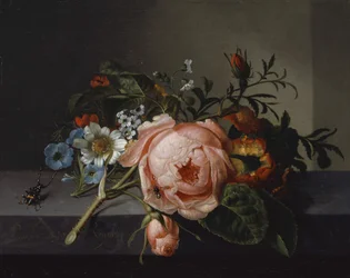 Stillleben mit Rosenast, Käfer und Biene, 1741