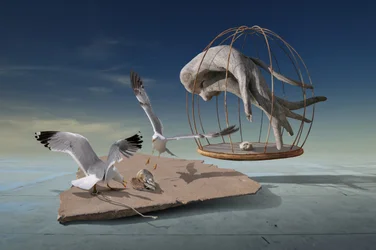 Möwen entkommen surrealem Käfig
