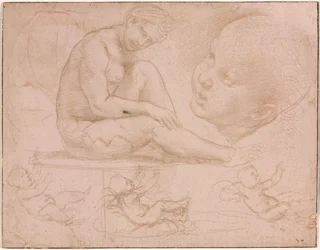 Studien einer sitzenden Frau, Kinderkopf und drei Studien eines Babys, ca. 1507-8