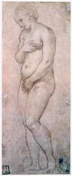 Studie der Venus, um 1500-1520