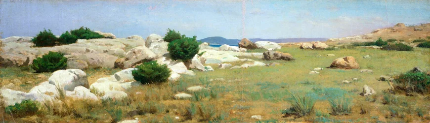 Klippe bei Castiglioncello