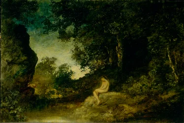 Am Spiegel der Natur