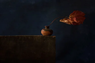 Dunkles Herbststillleben