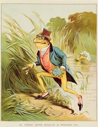 Illustration aus 