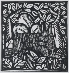 Der Hase