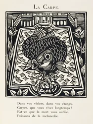 Der Karpfen, Illustration aus 