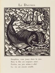 Der Delfin, Illustration aus 