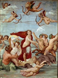 Der Triumph der Galatea Fresko von Raffael (Raffaello Sanzio 1483-1520). 1511
