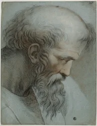 Kopf des Pythagoras