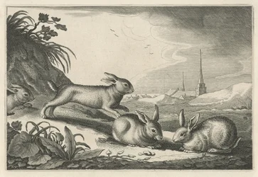 Dünenlandschaft mit Kaninchen