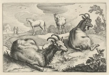 Landschaft mit zwei Ziegen und zwei Pferden
