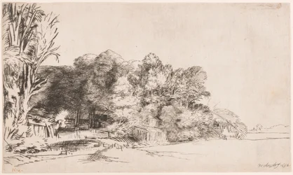 Baumgruppe mit Aussicht