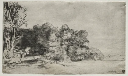Baumgruppe mit Aussicht