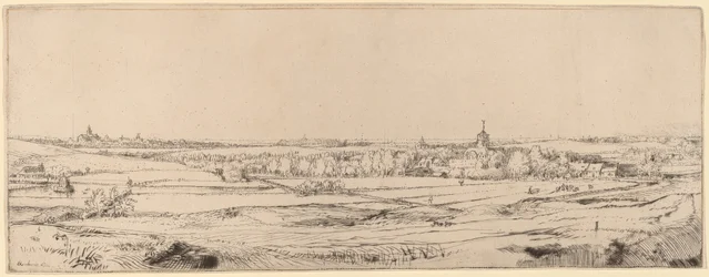 Landschaft mit Blick auf Haarlem (Das Goldwägerfeld)