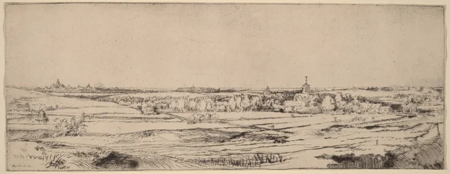 Landschaft mit Blick auf Haarlem (Das Goldwägerfeld)