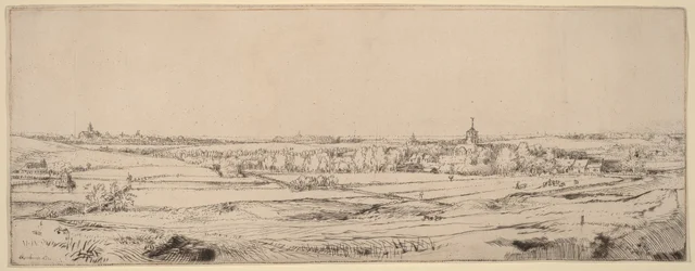 Landschaft mit Blick auf Haarlem (Das Goldwägerfeld)