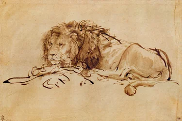 Ruhender Löwe