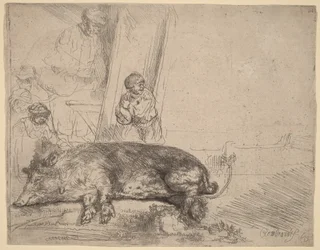 Das Schwein