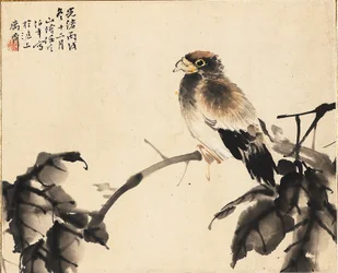 Vogel auf einem Ast