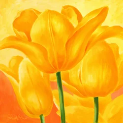 Sonnige Gelbe Tulpen