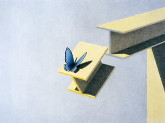 Schmetterling