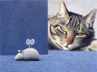 Maus