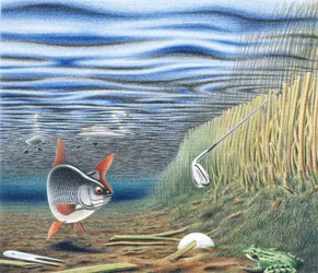 Wasserhindernis