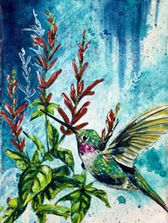 "Schwebender" Kolibri und Ananassalbei-Blumen von Renee Machan