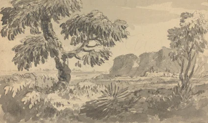 Landschaft mit zwei Bäumen und Klippe