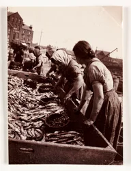 Fischen, Fischerfrauen sortieren Fisch, Whitby Harbour, North Yorkshire, ca. 1905