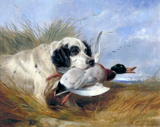 Hund mit Wildente
