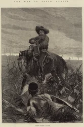 Der Krieg in Südafrika