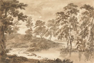 Waldlandschaft