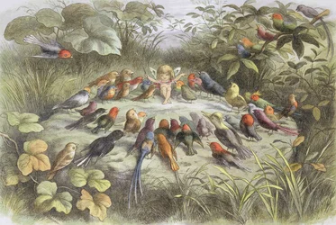Musikprobe im Feenland (Illustration aus "Im Feenland. Bilder aus der Elfen-Welt", von William Allingham und Andrew Lang)
