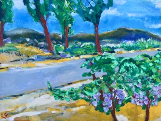 Straßenrand-Weinberg, Napa, 2017