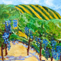 Weinberg und Hügel