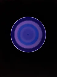 Ohne Titel, 2004
