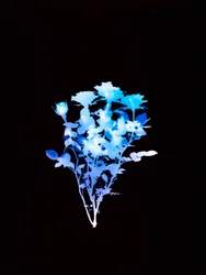 Ohne Titel, 2008
