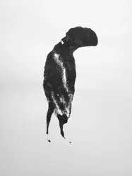 Ohne Titel, 2009